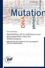 Modulation de la Resistance Aux Glycopeptides Chez Les Enterocoques