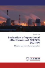 Evaluation of operational effectiveness of NEEPCO (AGTPP)