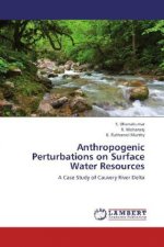 Anthropogenic Perturbations on Surface Water Resources