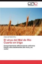 virus del Mal de Rio Cuarto en trigo