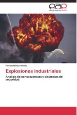 Explosiones industriales