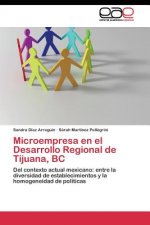 Microempresa en el Desarrollo Regional de Tijuana, BC