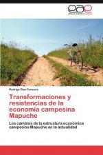 Transformaciones y Resistencias de La Economia Campesina Mapuche