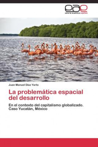 problematica espacial del desarrollo