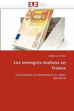 Les immigres maliens en france