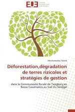 D forestation, D gradation de Terres Rizicoles Et Strat gies de Gestion