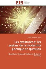 Les Aventures Et Les Avatars de la Modernit  Po tique En Question