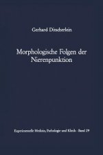 Morphologische Folgen der Nierenpunktion