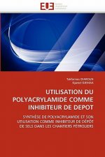 Utilisation Du Polyacrylamide Comme Inhibiteur de Depot