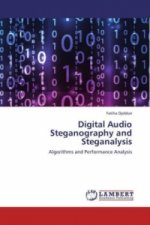 Digital Audio Steganography and Steganalysis
