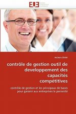 Contr le de Gestion Outil de Developpement Des Capacit s Comp titives