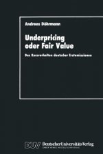 Underpricing Oder Fair Value
