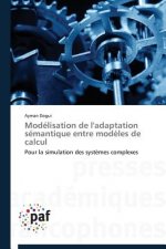 Modelisation de l'Adaptation Semantique Entre Modeles de Calcul