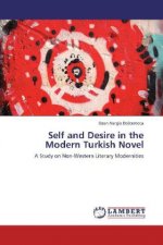 Self and Desire in the Modern Turkish Novel