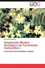 Ampliacion Modelo Geologico de Yacimiento Carbonifero