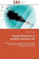 Sprays Diesel Par Le Syst me Common Rail