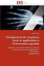 Changement de croyances local et application a l''information spatiale