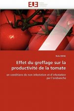 Effet du greffage sur la productivite de la tomate