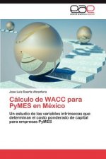Calculo de Wacc Para Pymes En Mexico