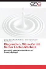Diagnostico, Situacion del Sector Lacteo Macheta