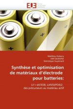 Synth?se et optimisation de matériaux d?électrode pour batteries: