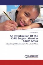 An Investigation Of The Child Support Grant in South Africa