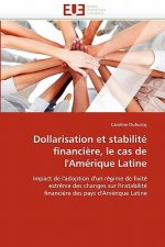 Dollarisation Et Stabilit  Financi re, Le Cas de l'Am rique Latine