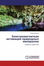 Jelektromagnitnaya aktivaciya prirodnyh mineralov