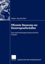 Effiziente Steuerung von Konzerngesellschaften