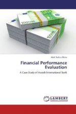 Financial Performance Evaluation