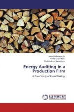 Energy Auditing in a Production Firm