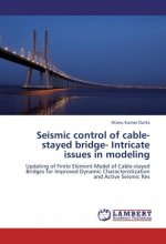 Seismic control of cable-stayed bridge- Intricate issues in modeling