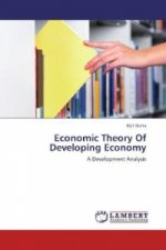 Economic Theory Of Developing Economy