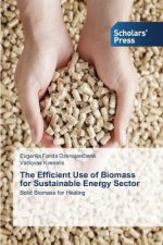Efficient Use of Biomass for Sustainable Energy Sector