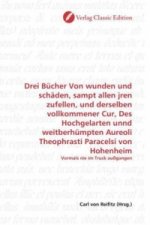 Drei Bücher Von wunden und schäden, sampt allen jren zufellen, und derselben vollkommener Cur, Des Hochgelarten unnd weitberhümpten Aureoli Theophrast
