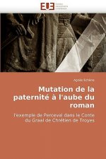 Mutation de la paternite a l'aube du roman