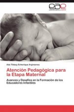 Atencion Pedagogica para la Etapa Maternal