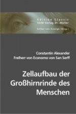 Zellaufbau der Großhirnrinde des Menschen