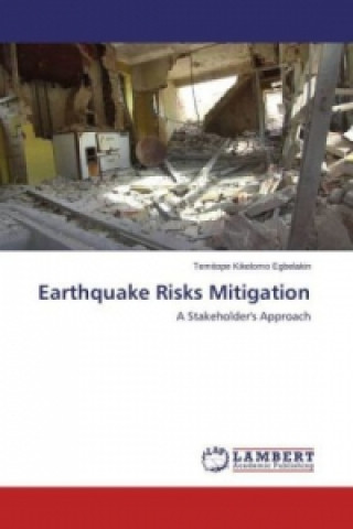 Earthquake Risks Mitigation