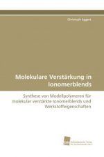 Molekulare Verstärkung in Ionomerblends