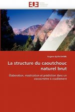 Structure Du Caoutchouc Naturel Brut