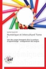 Numérique et interculturel Tome I
