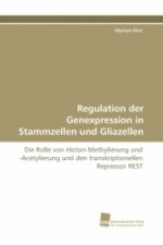 Regulation der Genexpression in Stammzellen und Gliazellen