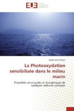 La Photooxydation sensibilisée dans le milieu marin