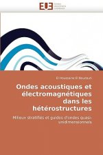 Ondes Acoustiques Et Electromagnetiques Dans Les Heterostructures