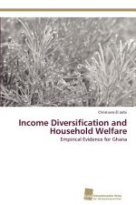 Income Diversification and Household Welfare
