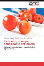 Licopeno, principal antioxidante del tomate