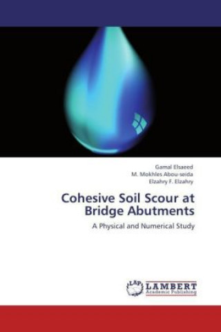 Cohesive Soil Scour at Bridge Abutments