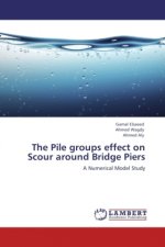 The Pile groups effect on Scour around Bridge Piers