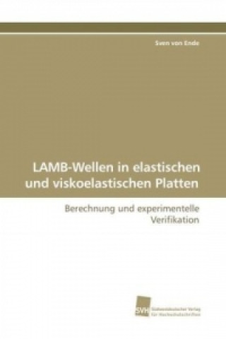 LAMB-Wellen in elastischen und viskoelastischen  Platten